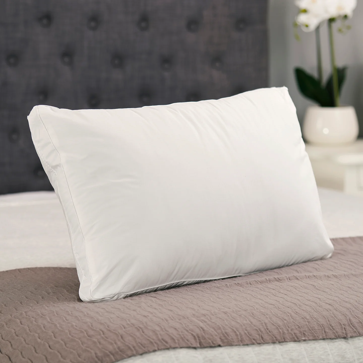 Classic Comfort Allergy Asthma Sensitive Pillow - Soft - Image 3