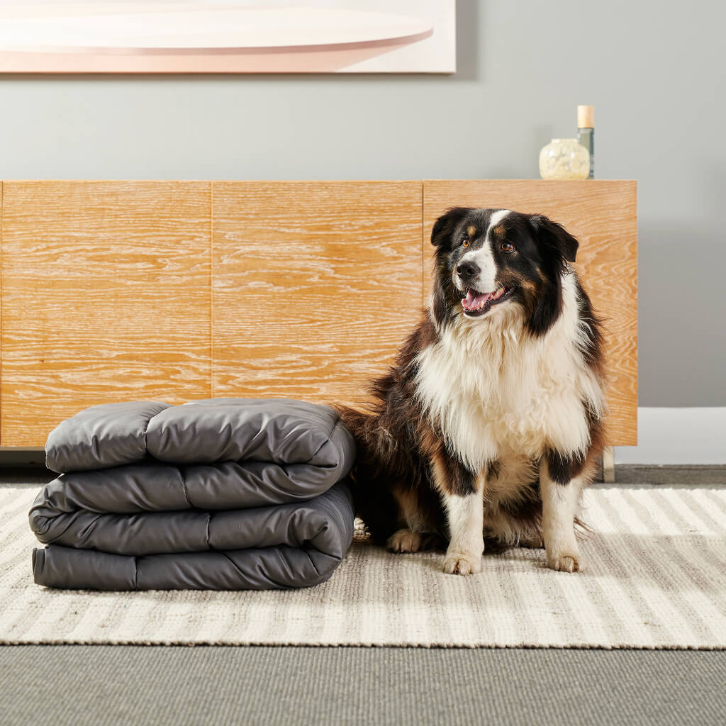 Doggy Doona - Image 2