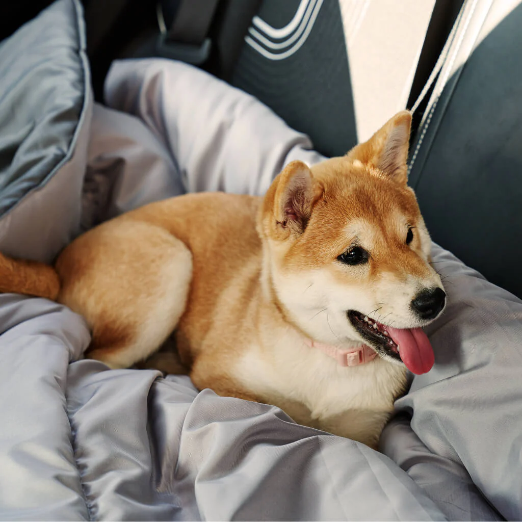 Doggy Doona - Image 6